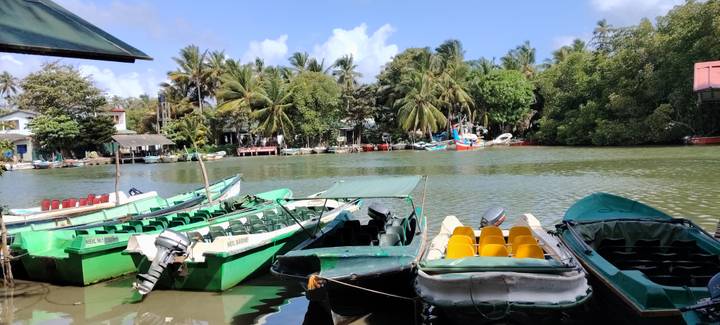 Row of small colorful motorboats moored on a calm tropical river lined with dense palms.