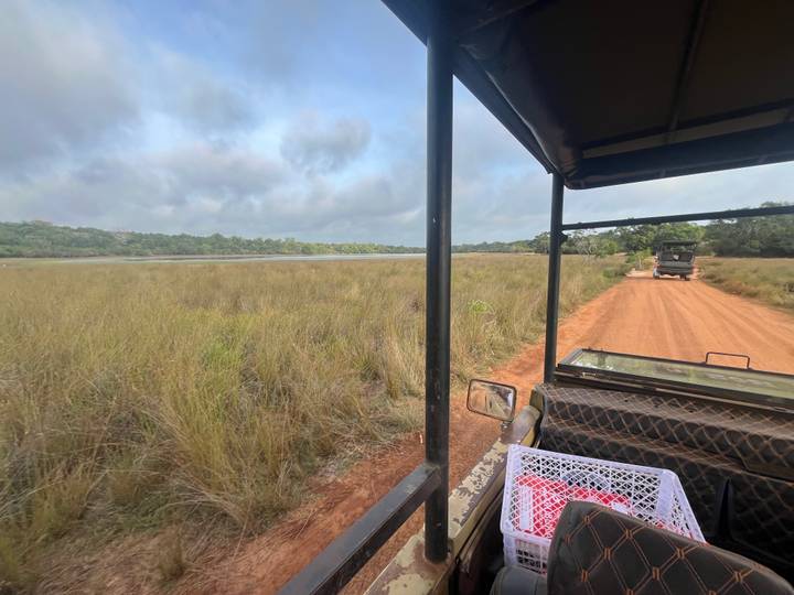 View from inside a safari jeep driving along a red dirt track beside tall grasses and distant forest.