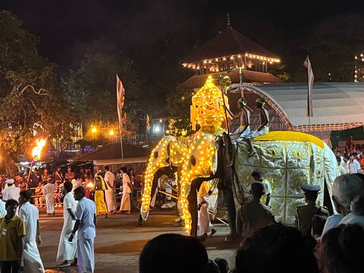 Nighttime Perahera procession with illuminated elephant and drummers in Kandy.