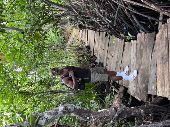 Man with backpack stands on a wooden boardwalk winding through dense green mangrove forest.