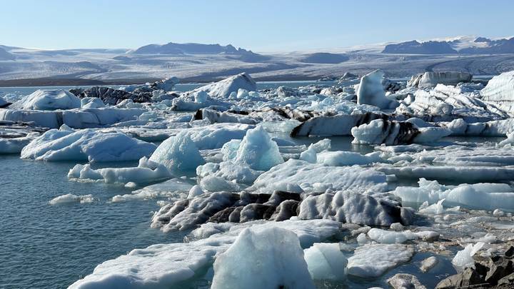Floating icebergs and turquoise water in the glacial lagoon under a clear sky.