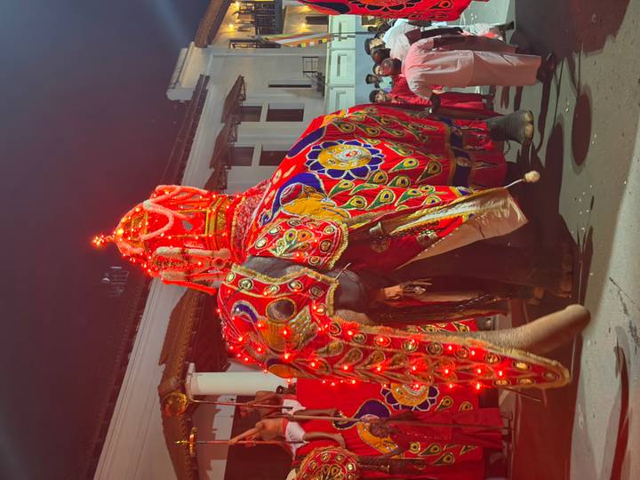 Brilliantly lit and decorated elephant leads a night-time cultural parade with attendants in traditional dress.
