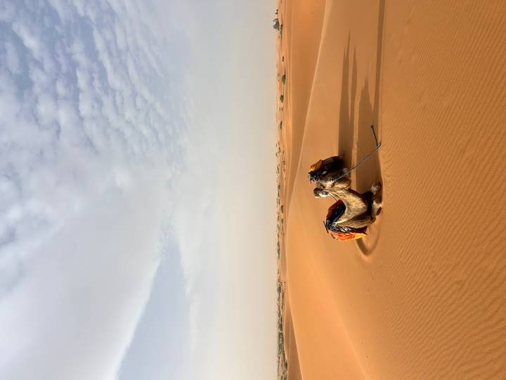 A lone camel, saddled and resting in a wind-sculpted dune hollow beneath a textured sky.