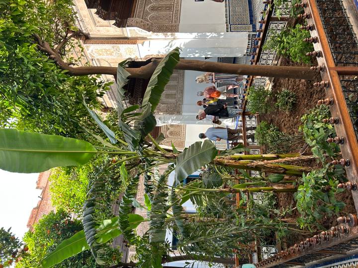 Visitors exploring a lush courtyard garden with banana trees and ornate carved arches.