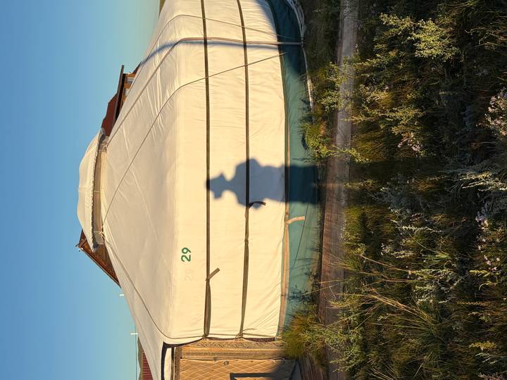 Shadow of a person with a hat cast onto the white canvas of a ger at sunrise.