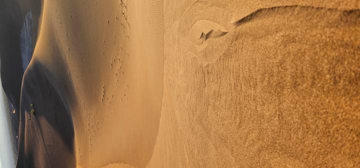 Golden desert dunes with soft curved lines and tracks lit by warm low sunlight.