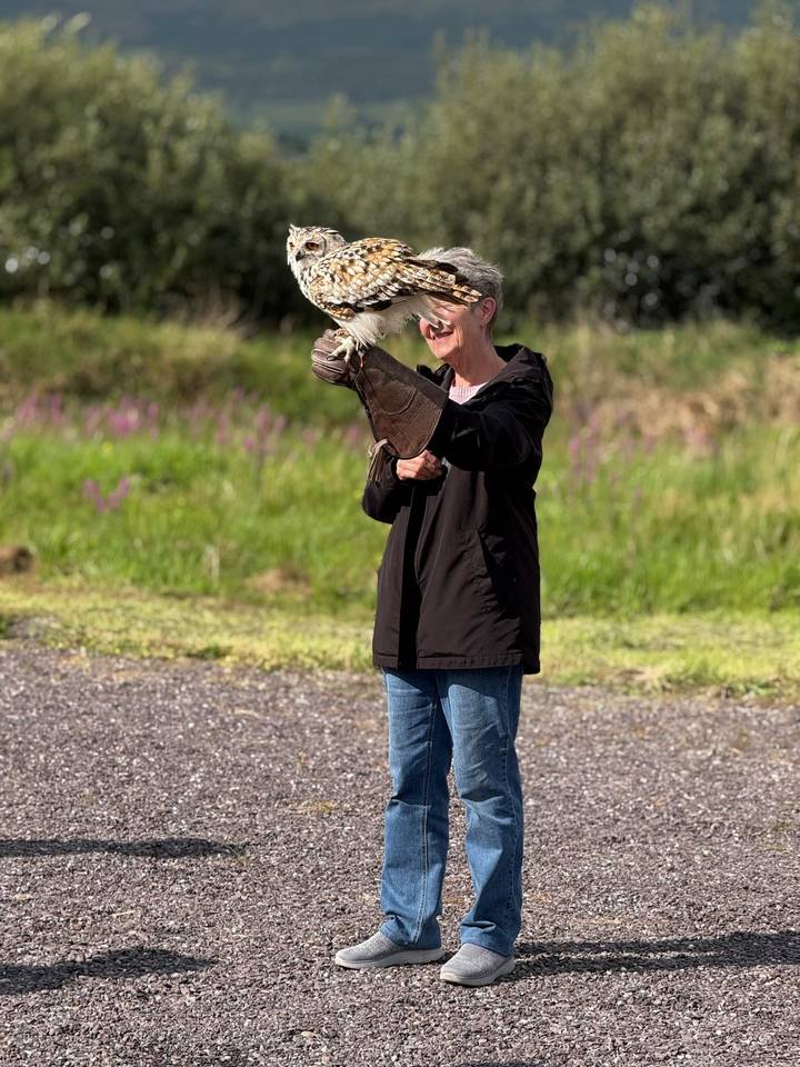 Smiling woman holding a gloved falcon during an outdoor birds-of-prey experience in the Irish countryside