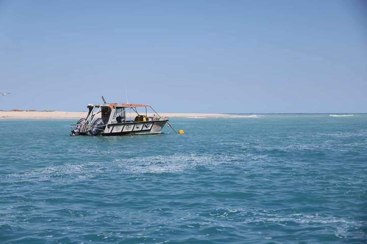 Small aluminum boat floating on clear blue sea near a sandy shoreline on a calm sunny day.