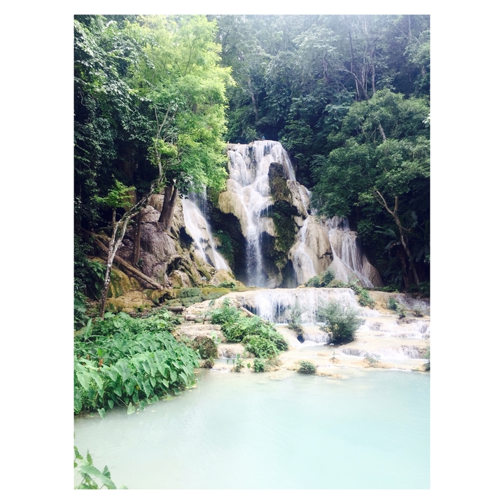 Une cascade pittoresque se déversant dans un bassin d'eau serein entouré d'une végétation luxuriante.