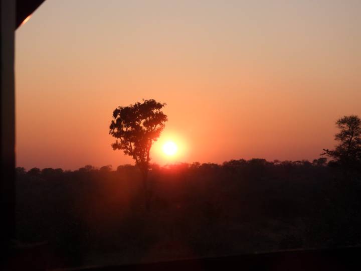 Orange sun sets behind a solitary tree above a dark bushveld horizon.