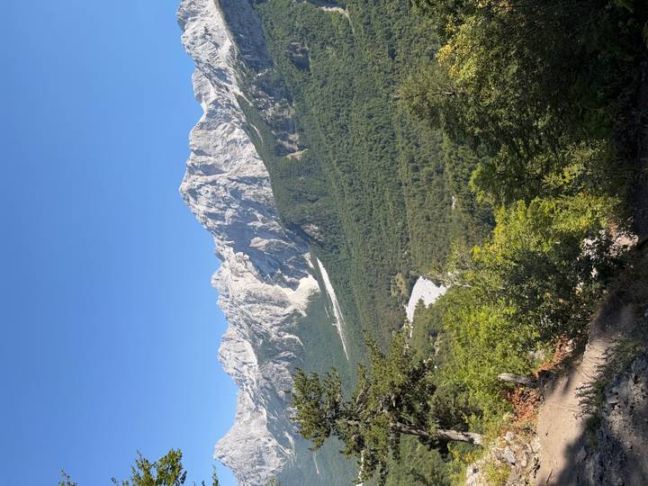 Tall grey limestone mountains rise above dense green forest in bright sunshine.