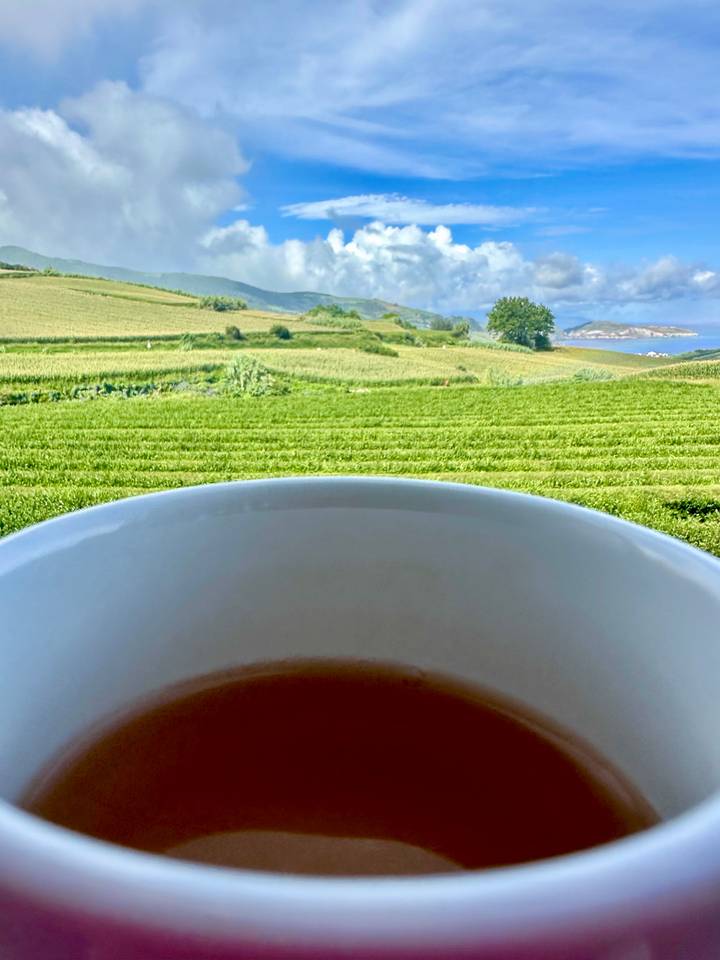Coffee cup in foreground overlooking rolling green fields and distant coastline.