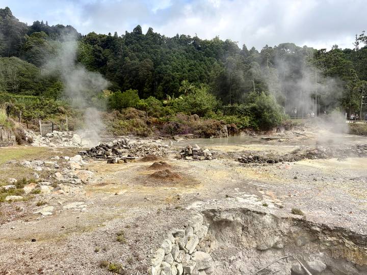 Steaming geothermal vents and bubbling pools in a volcanic landscape surrounded by forest.