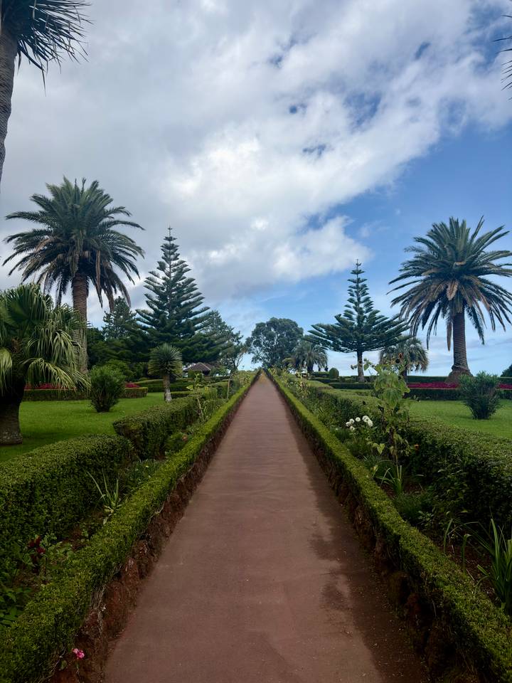 Long garden path lined with manicured hedges, palm trees and pines under a blue sky.