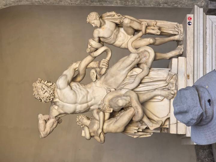 Marble sculpture of Laocoön and his sons wrestling serpents displayed in a museum niche.