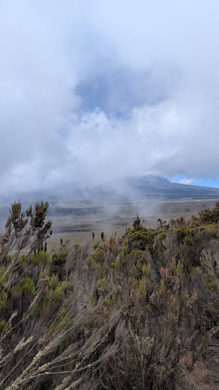 Misty plain with a cloud-shrouded volcanic peak emerging in the background.