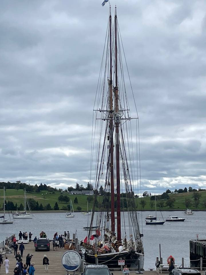 Tall ship mast and rigging rise against a cloudy sky with distant shoreline trees.