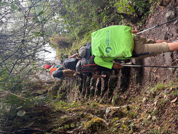 A line of trekkers in green expedition gear climbs steep, mossy stone steps through dense jungle foliage.