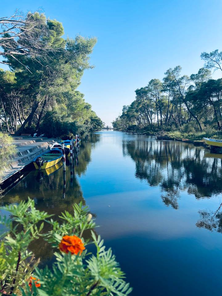 Serene tree-lined canal with small colorful boats moored along wooden jetties reflecting in calm water.