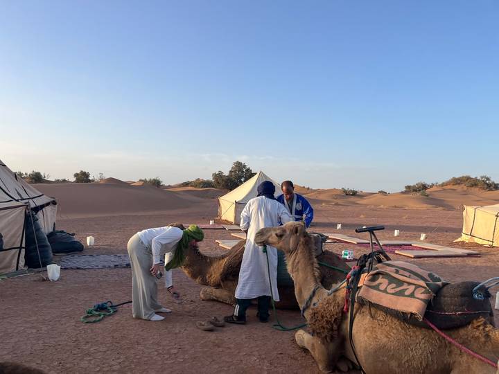 Guides and travellers preparing camels for a ride beside desert tents.