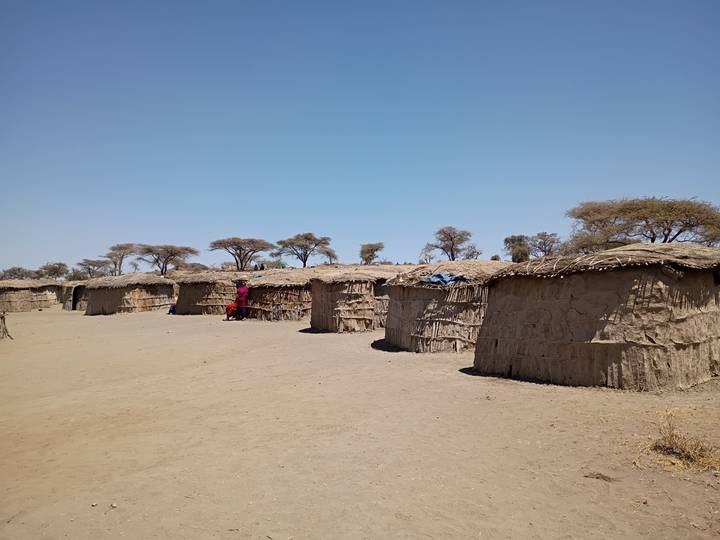 Row of traditional Maasai thatched huts under a clear blue sky with a lone person standing by.