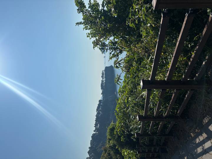 Sunbeam streaks across clear sky above coastal cliffs and dense greenery viewed from a wooden fence path.