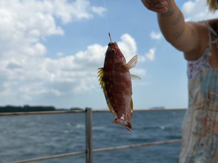 Freshly caught reddish fish dangling from a fishing line above the open sea, held by an angler’s arm.