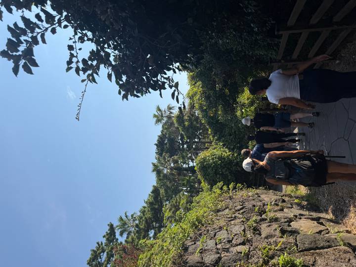 Small group of hikers walking a shaded path bordered by lush greenery and volcanic rock walls.