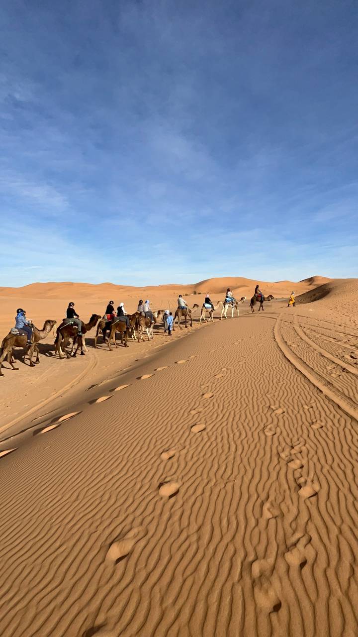 Travellers riding camels make tracks through expansive desert sand under blue skies.