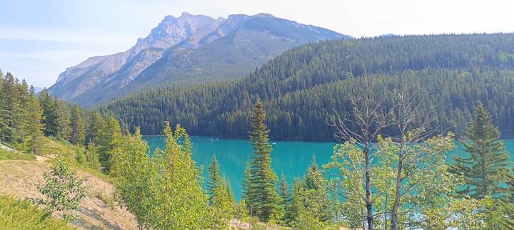 Turquoise mountain lake bordered by dense evergreen forest and rugged peaks