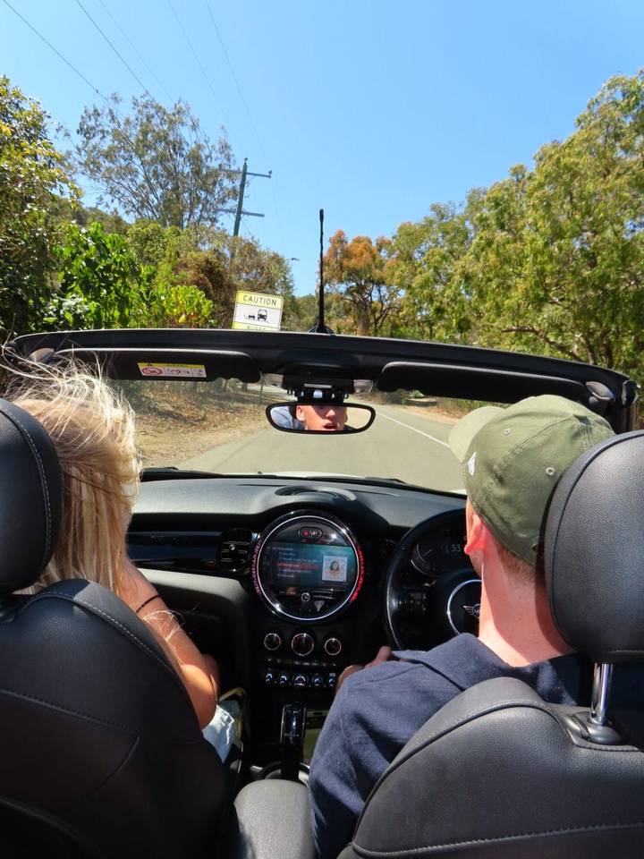 Point-of-view from the back seat of a convertible driving through bushland, a dingo caution sign visible ahead.