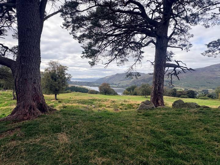 Scenic Scottish countryside framed by two large trees overlooking a lake and rolling hills.