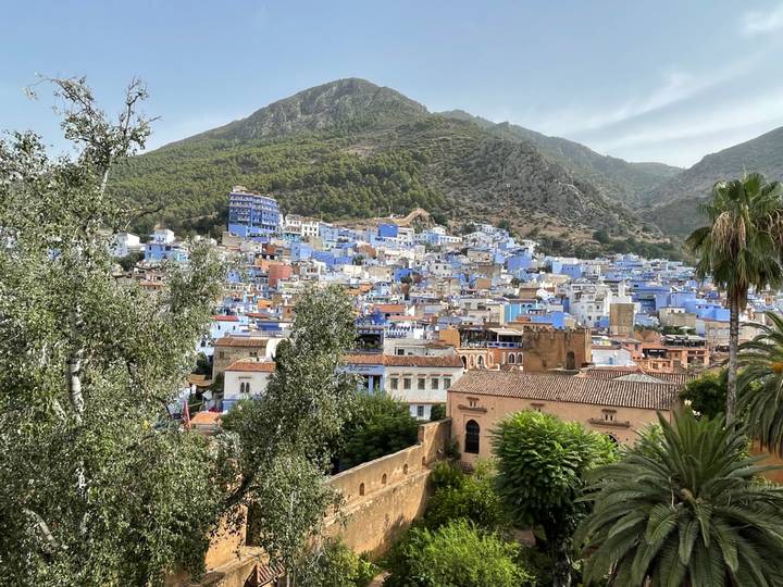 Panoramic view of Chefchaouen’s blue-painted buildings cascading down a hillside beneath forested peaks.