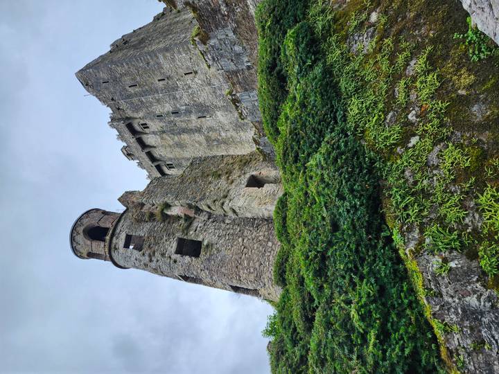 Upward view of stone tower and walls of Blarney Castle surrounded by green mossy slope
