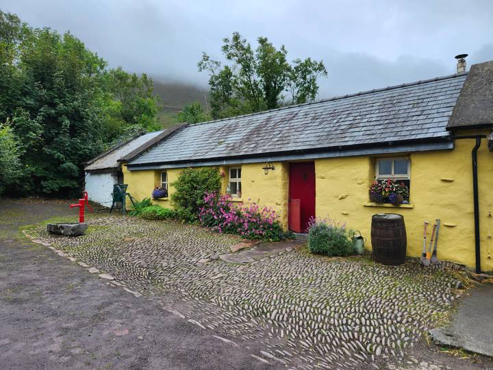 Charming yellow-washed Irish cottage with flowers and cobblestone yard on a misty morning