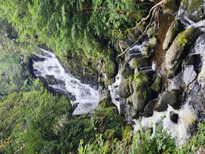 Torc Waterfall cascading through lush green forest and mossy rocks in Killarney