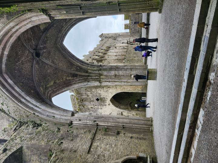 Visitors exploring the vaulted ruins of the Rock of Cashel cathedral complex
