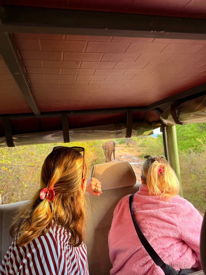 Two tourists sit inside an open safari jeep watching an elephant walk away along a dusty track through sun-lit shrubland.