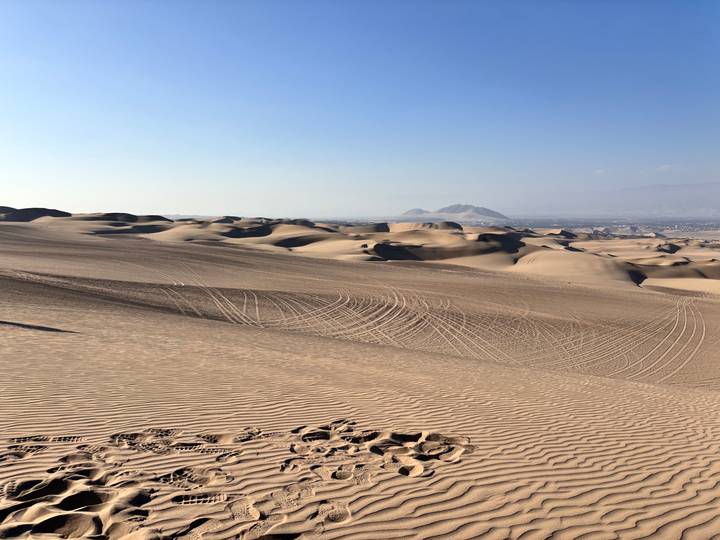 Expansive golden sand dunes with sweeping tyre tracks under a clear blue desert sky.