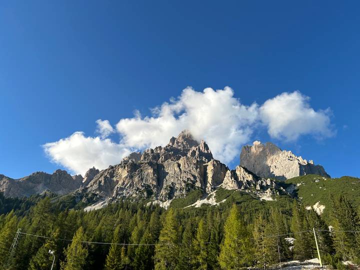 Jagged limestone peaks of the Dolomites rise above pine forests under a vivid blue sky with a single cloud plume.