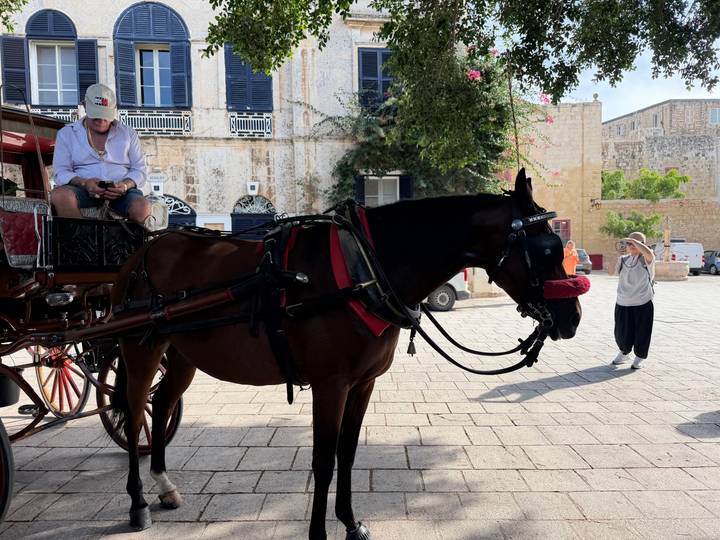 Horse-drawn carriage with driver on a cobblestone plaza, visitor taking photo nearby