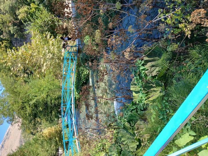 Small turquoise pedestrian bridge over clear spring water amidst green vegetation.