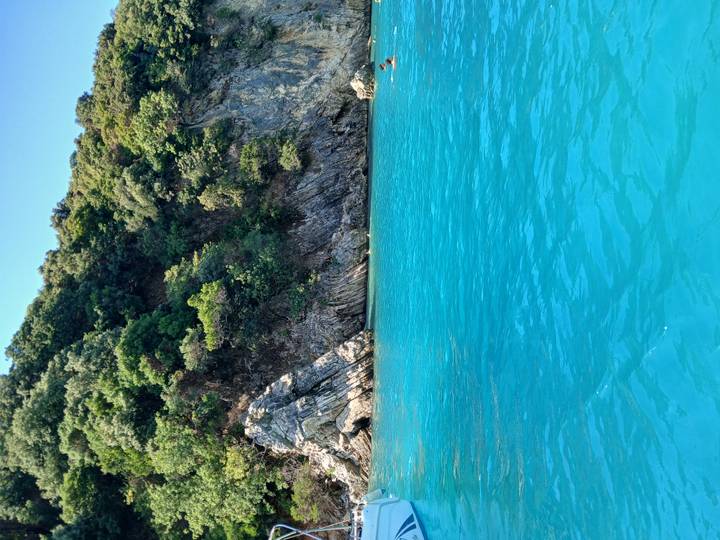 Bright turquoise sea beside a forested rocky coastline under a clear sky.