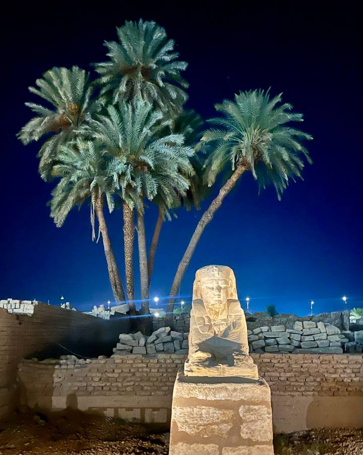 Nighttime view of a seated sphinx statue lit against deep blue sky and tall palm trees.