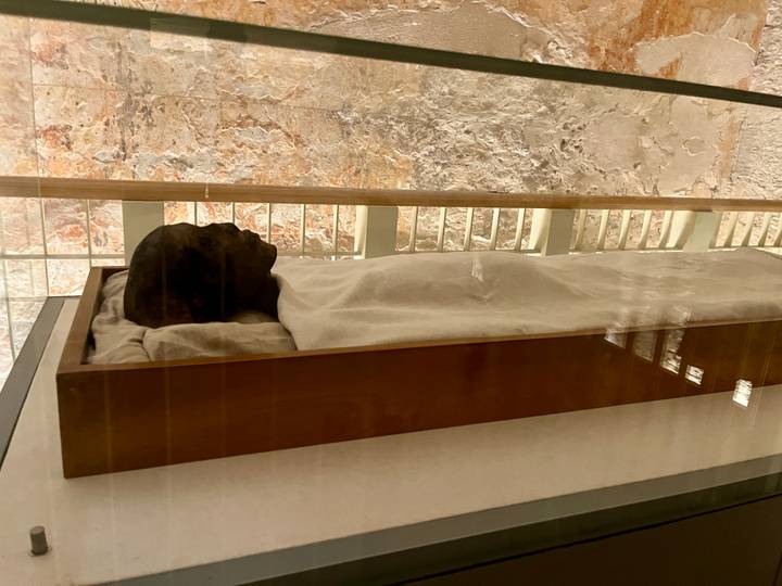 Glass case displays an ancient mummified body inside a dim museum setting.