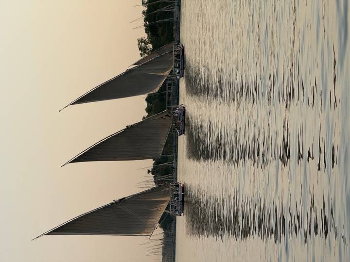 Traditional felucca sailboats gliding across the Nile at sunset casting long reflections on the water
