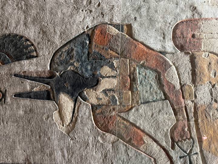 Detailed relief of Anubis on an aged temple wall showing faded yet colorful pigments.