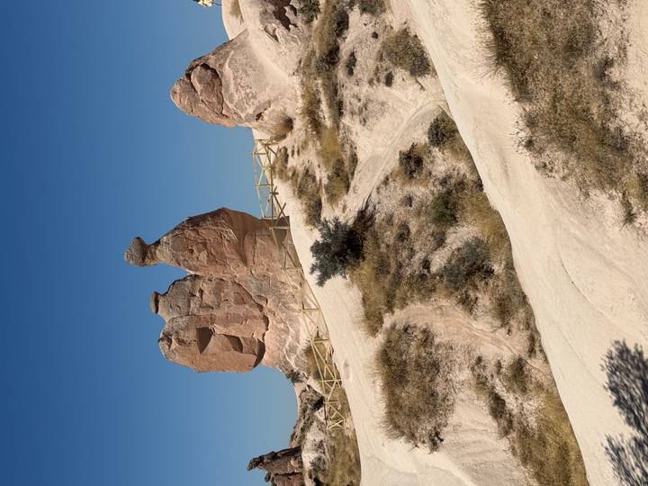 Unique rock formations resembling animals in Cappadocia’s Devrent Valley