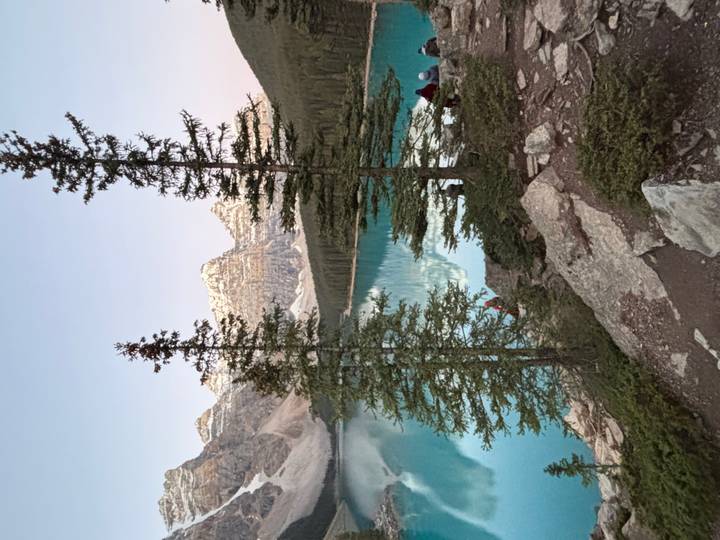 Turquoise Moraine Lake at dusk framed by tall pine trees with alpenglow on the peaks