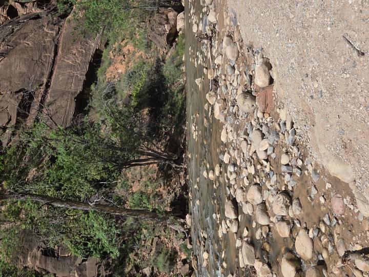 A shallow rocky river winds through a canyon bottom with trees and steep cliffs nearby.